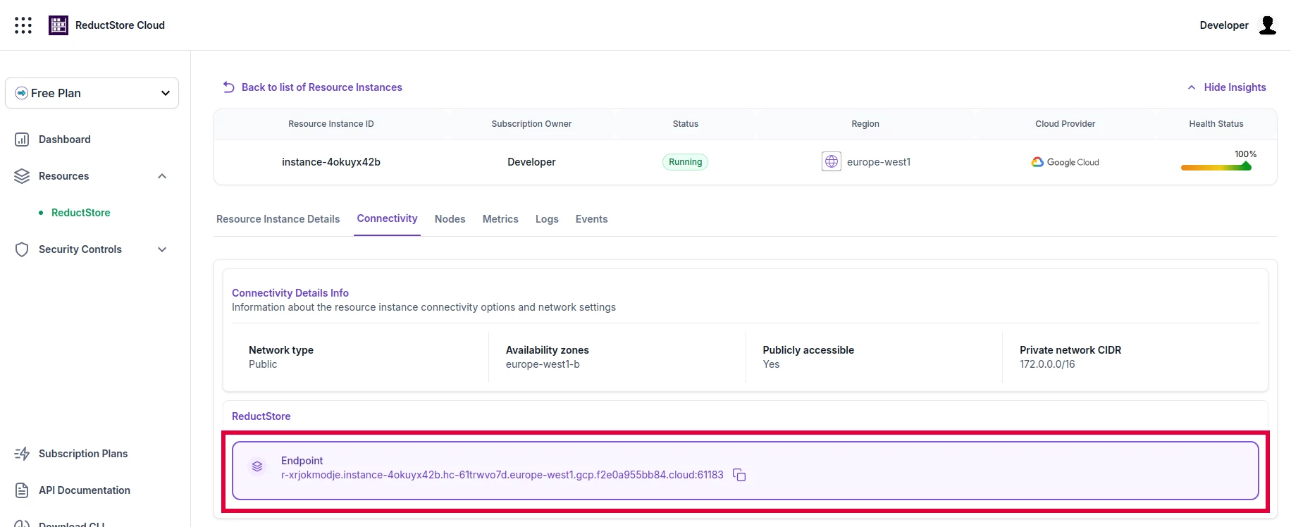 ReductStore Instance Connectivity