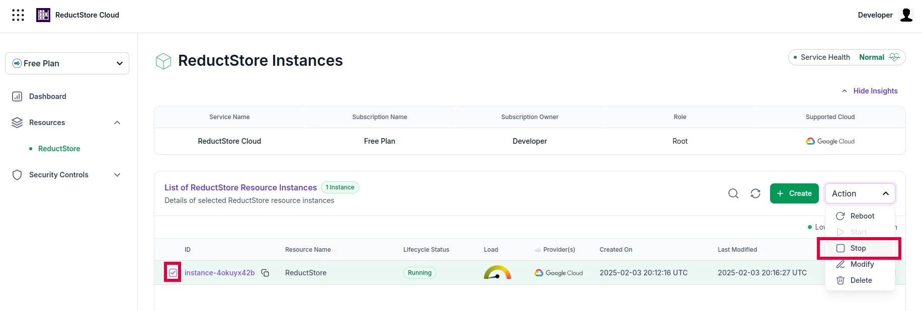 Stop ReductStore Instance