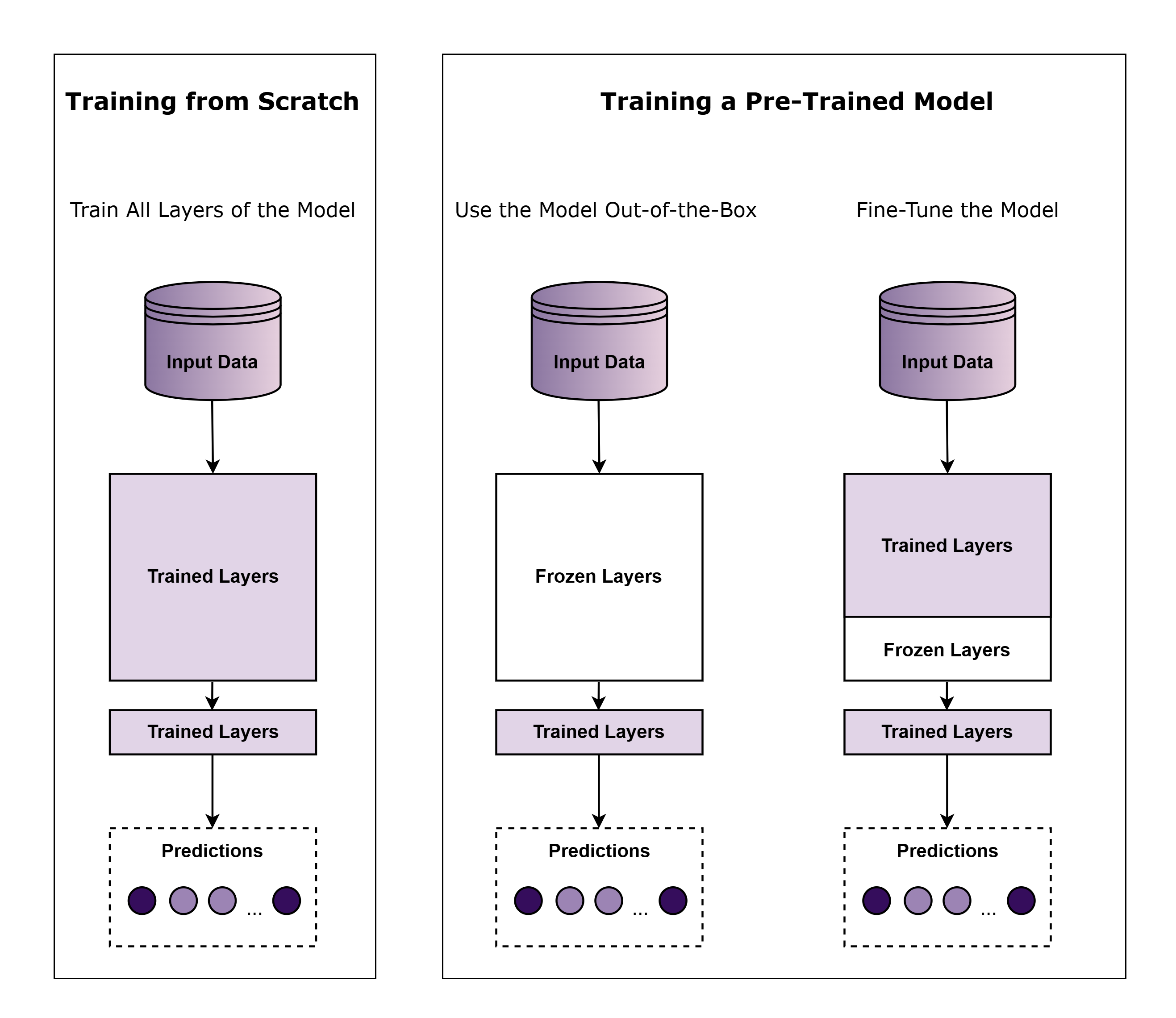 Transfer vs No Transfer Learning